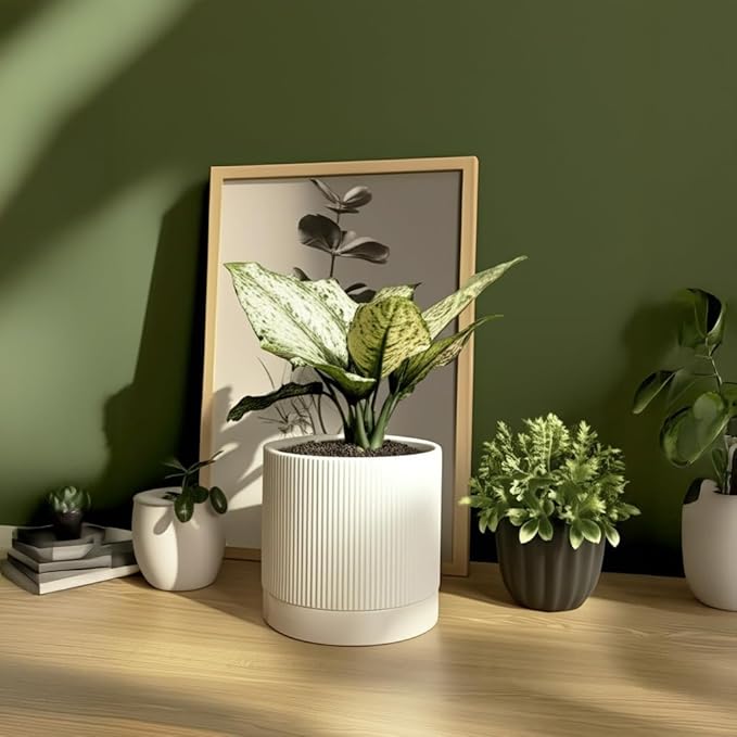 6 Inch Ceramic Plant Pot with Drainage & Saucer - Indoor Planter for Succulents, Cacti & Aloe Vera - Striped Design, High-Temp Fired Clay, Lightweight Modern Decor White