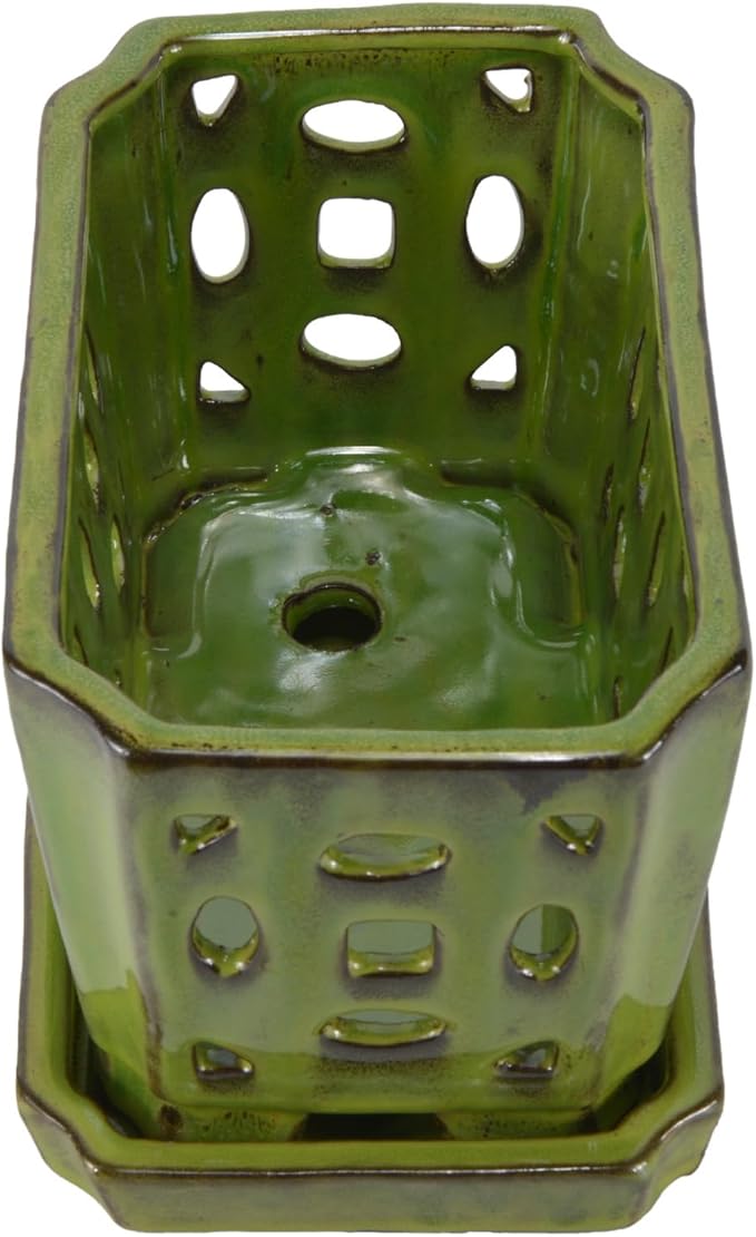 W&W Orchid Pot with Holes and Saucer for Repotting, YellowGreen, 9.7 Inches