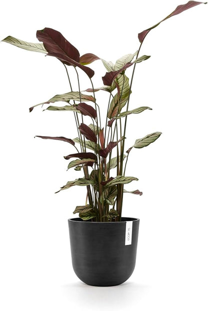 Ecopots Oslo Durable Modern Round Indoor/Outdoor Recycled-Based Composite Flower Pot Planter, Dark Grey, 10"