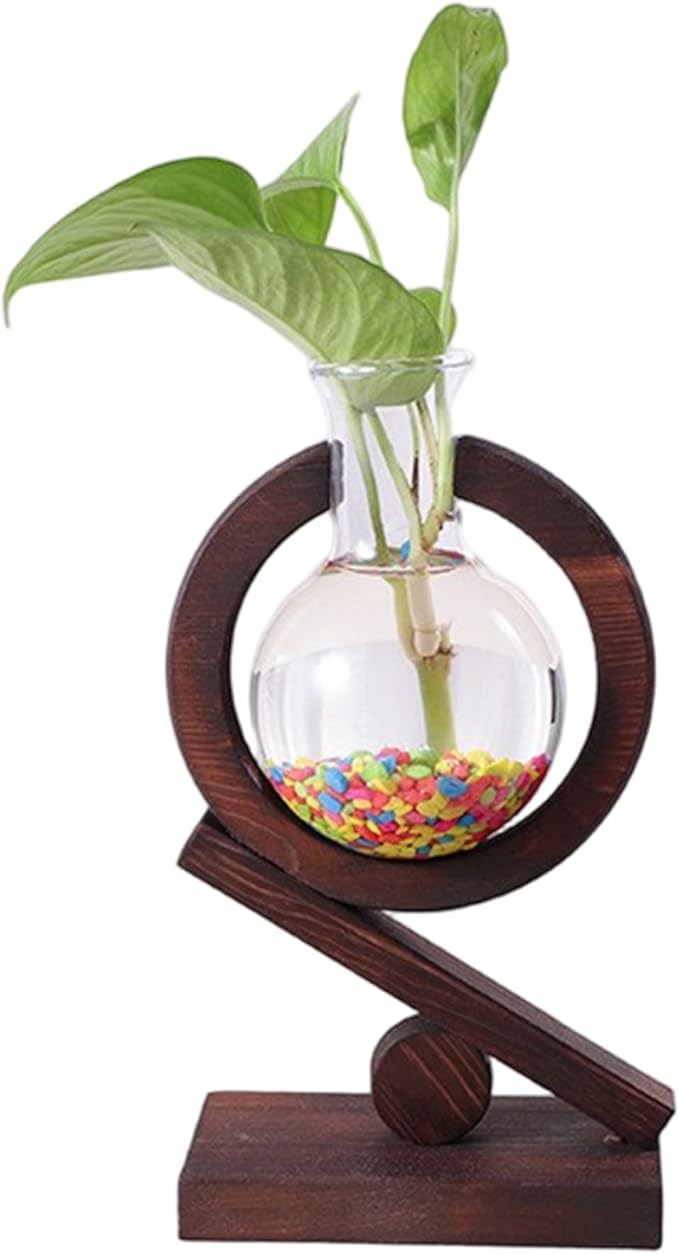Plant Terrarium with Wooden Stand Glass Bulb Planter Propagation Station for Home Office Garden Plants Display Desk Decorative Ornament
