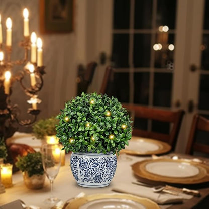 DILATATA Artificial Topiary Boxwood Ball in Blue and White Ceramic Pot, Lighted Artificial Boxwood in Planters 9 Inch Decorative Fake Greenery for Table Centerpiece Indoor Plant Home Decor - Small