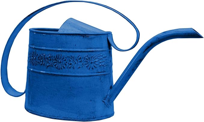 Headwind Willow Oceanside Blue 0.5 Gallon Galvanized Decorative Metal Garden Watering Can for Indoor & Outdoor Plant Care – Vintage Gardening Plant Watering Can by Robert Allen
