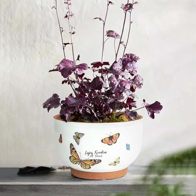 YBX 8 Inch + 6 Inch Terracotta Plant Pots, Flower Pots for Indoor Plants with Drainage, Planters with Butterfly Accent for Indoor Plants (Tropical)