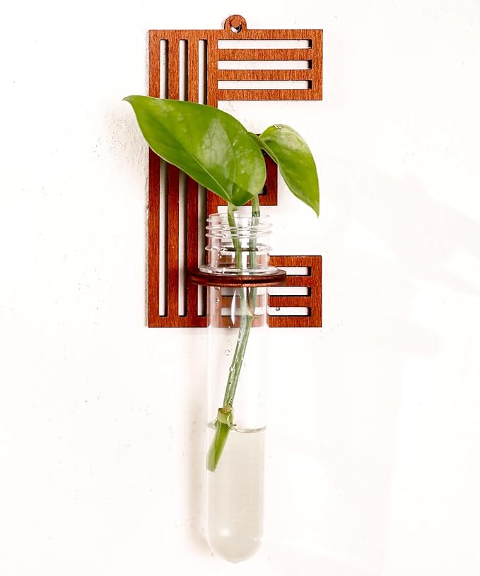 Wood Letter Wall Planter Terrariums Propagation Station with Test Tube Clear Flower Vase for Hydroponics Custom Vertical Garden Walnut DIY Home Decor Hanging Plant Holder Alphabet E