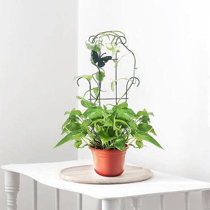 23 Inch Plant Trellis for Climbing Plants Indoor, Sturdy Metal Houseplant Trellis for Potted Plants, Rust-Resistant Plant Support for Monstera Pothos Ivy, Outdoor Garden Trellis 4 Pack