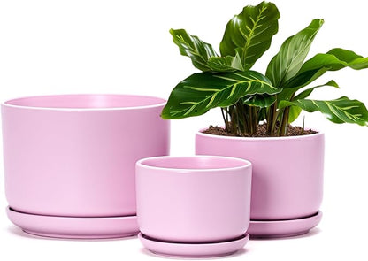 Ton Sin Pink Flower Pots,Ceramic Planter Pot for Indoor Plants,Set of 3 Flower Pot with Drainage Holes and Tray,Cute House Plant Pot for Succulent, Orchid, Cactus(Matte Pink)