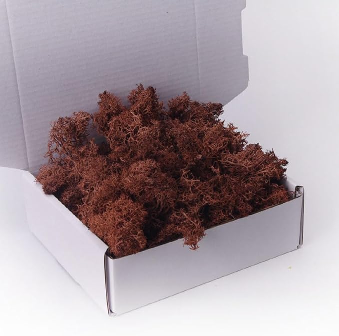 Preserved Moss 3.5 OZ Moss for Crafts Faux Moss Decor Natural Moss for Art Wall Florist Decor(Brown 3.5 OZ)