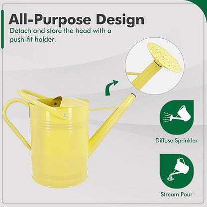 Galvanized Iron Watering Can for Indoor Plants, DIY Watering Cans for House Plant Garden Flower, Long Spout Water Can for Outdoor Watering Plants 6.44L 1.7Gallon (Beige)
