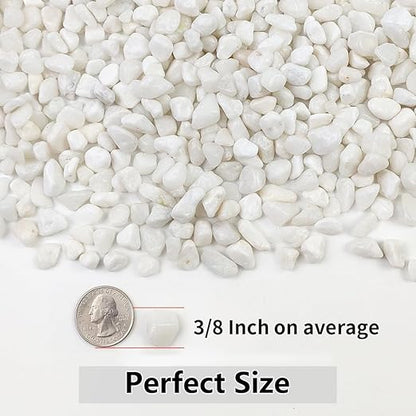 10LB Succulent and Cactus Gravel Pebbles, 3/8 Inch Natural Decorative Polished Stones, River Rocks for Plants, Vases, Aquariums, Terrarium and Outdoor Gardening, White