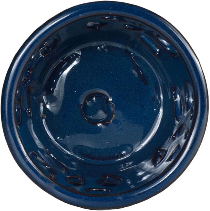 W&W Orchid Pot with Holes and Saucer for Repotting, Blue, 5 Inches