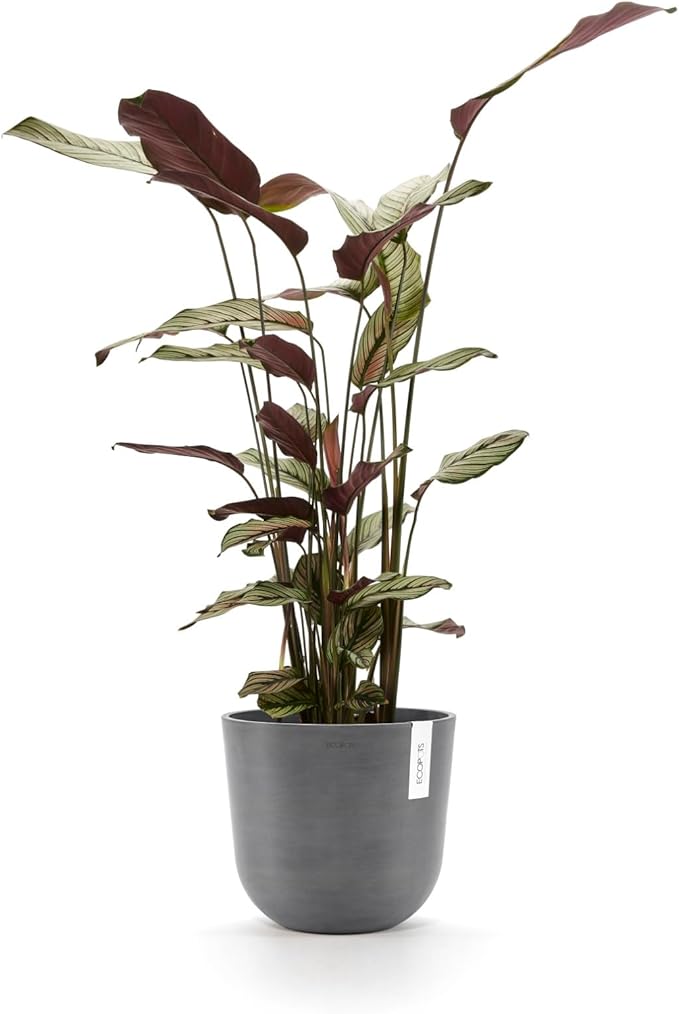 Ecopots Oslo Durable Modern Round Indoor/Outdoor Recycled-Based Composite Flower Pot Planter, Grey, 10"