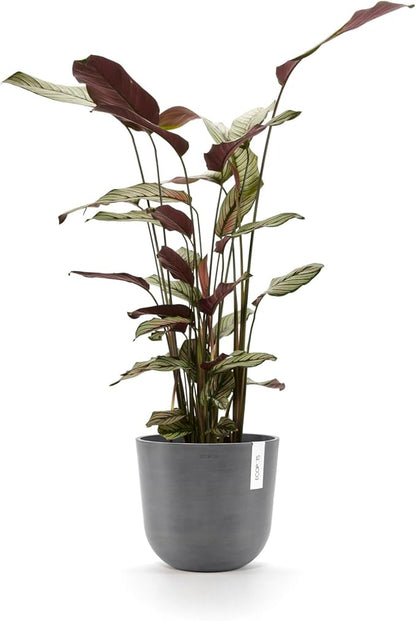 Ecopots Oslo Durable Modern Round Indoor/Outdoor Recycled-Based Composite Flower Pot Planter, Grey, 10"