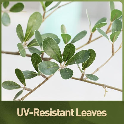 Artificial Black Olive Tree 6FT Indoor Outdoor Decor Faux Plants - Real Wood Trunk Fake Tree with Green UV Resistant Leaves - Tall Floor Plant for Modern Home Office Living Room Decoration