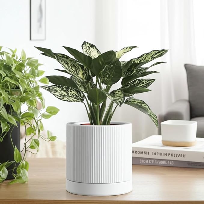 6 Inch Ceramic Plant Pot with Drainage & Saucer - Indoor Planter for Succulents, Cacti & Aloe Vera - Striped Design, High-Temp Fired Clay, Lightweight Modern Decor White