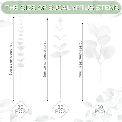 Giegxin 90 Pcs 3 Kinds Mixed Eucalyptus Leaves Stems Bulk Artificial Silver Dollar Leaves Picks Dried Eucalyptus Bundle Faux Spray for Wedding Vase Bouquet Floral Arrangement (White)