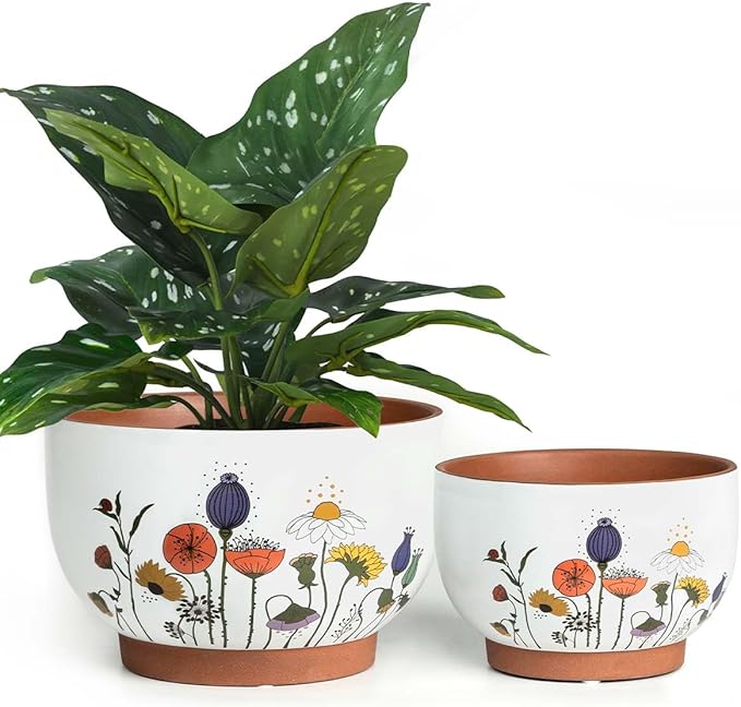 YBX 8 Inch & 6 Inch Terracotta Plant Pots, Flower Pots for Indoor Plants with Drainage, Planters with Floral Accent for Indoor Plants (French Country)