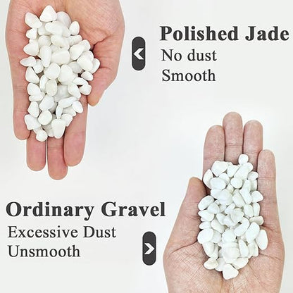 2LB Succulent and Cactus Gravel Pebbles, 3/8 Inch Natural Decorative Polished Stones, River Rocks for Plants, Vases, Aquariums, Terrarium and Outdoor Gardening, White