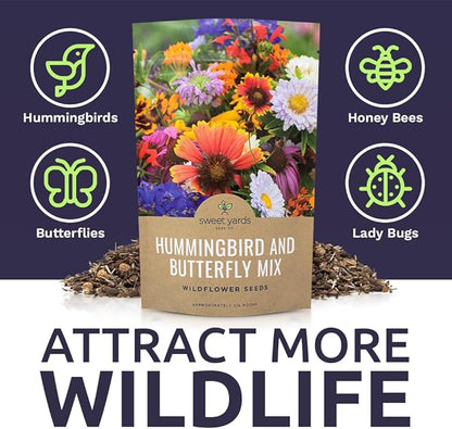 Bulk Wildflower Seeds Butterfly and Humming Bird Mix - 1/4 Pound Bag - Over 30,000 Open Pollinated Annual and Perennial Seeds