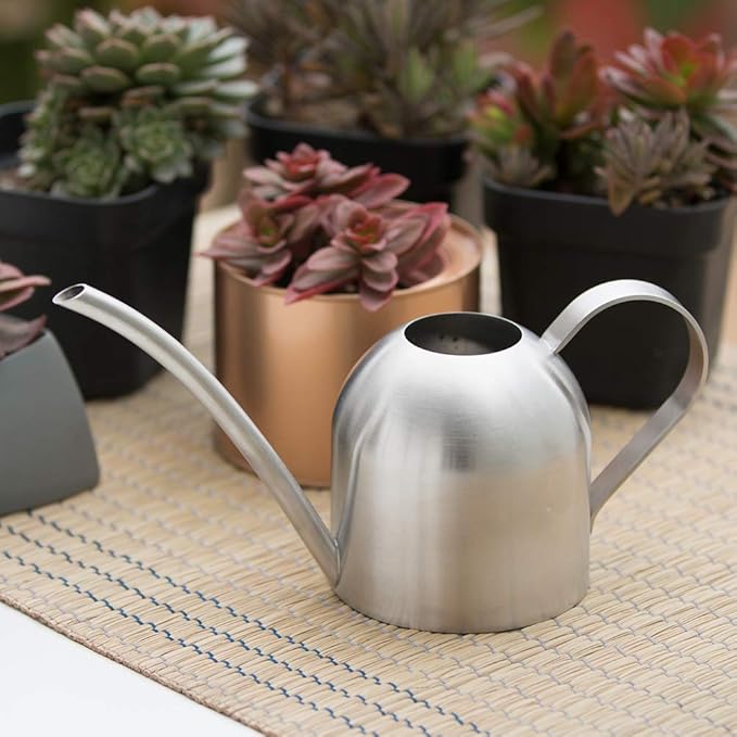 Stainless Steel Water Can for Indoor Plants and Garden (15 oz)