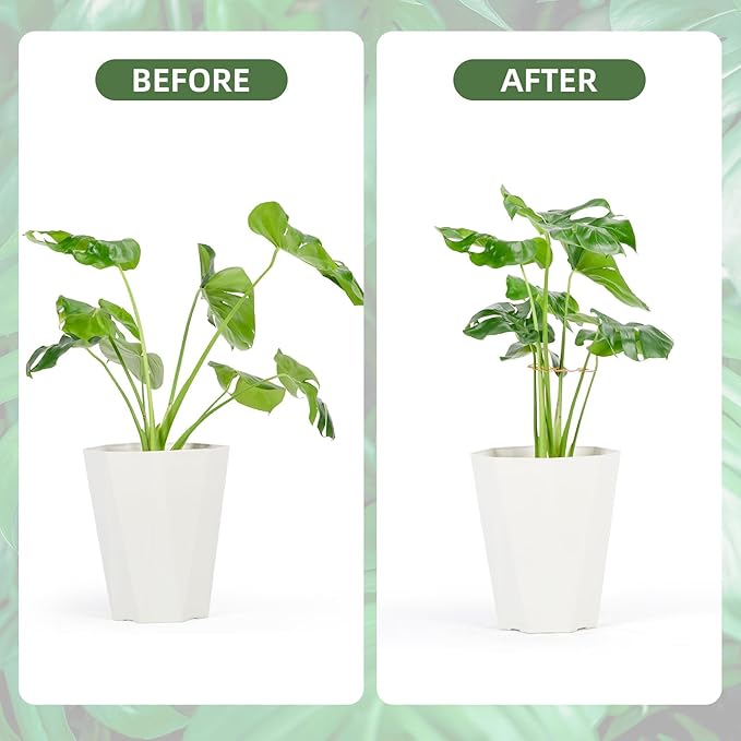 Plant Support Clips - 5-Pack of 7.52x6.65 Inch Indoor plant stabilizer for Vines,Monstera, Pothos & Philodendron | plant stem support,Durable Trellis Accessories for Gardening