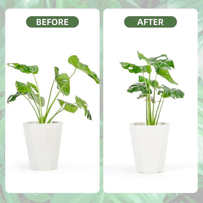 Plant Support Clips - 5-Pack of 7.52x6.65 Inch Indoor plant stabilizer for Vines,Monstera, Pothos & Philodendron | plant stem support,Durable Trellis Accessories for Gardening