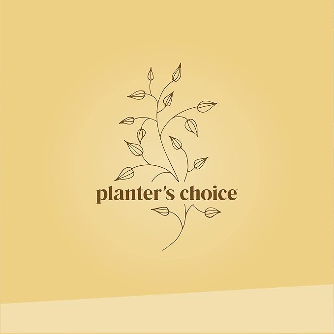 Bonsai Starter Kit - Gardening Easter Gift for Women & Men - Bonsai Tree Growing Garden Crafts Hobby Kits for Adults, Unique DIY Hobbies for Plant Lovers - Unusual Christmas Gifts Ideas