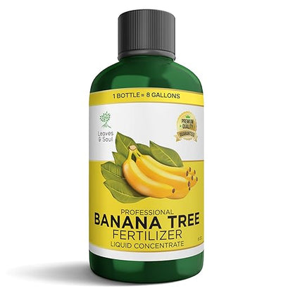 Leaves and Soul Professional Banana Tree Fertilizer Liquid Concentrate - 6-4-6 Blend for Fruit Tree Fertilizer, Garden - Liquid Plant Food for Banana Trees in Pots or Outdoors - 8oz
