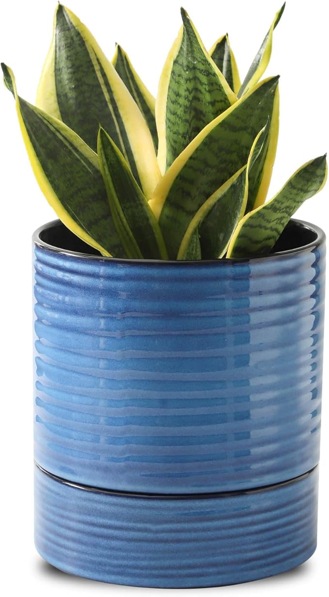 Hasense Large Self Watering Plant Pot, 8 Inch Porcelain Planter with Drainage Hole and Water Storage Plus for Outdoor & Indoor House Plants and Garden, Round Flower Pots for Home or Office Decor, Blue