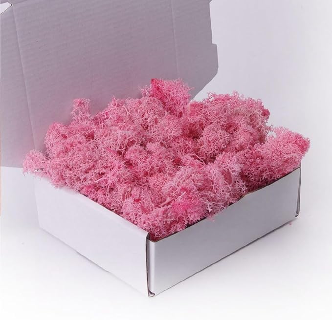 Preserved Moss-3.5 OZ Moss for Crafts Faux Moss Decor Natural Green Moss for Art Wall Florist Decor, Fairy Gardens, Wedding, Floral Project(Light Pink 3.5 OZ)