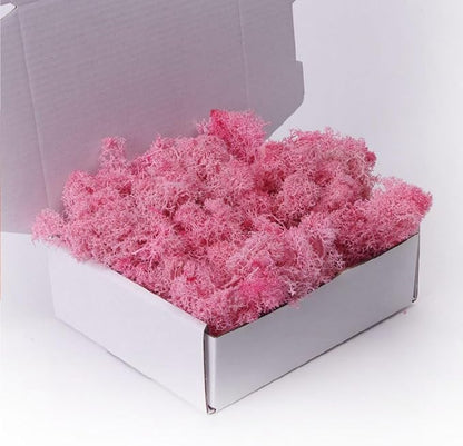 Preserved Moss-3.5 OZ Moss for Crafts Faux Moss Decor Natural Green Moss for Art Wall Florist Decor, Fairy Gardens, Wedding, Floral Project(Light Pink 3.5 OZ)