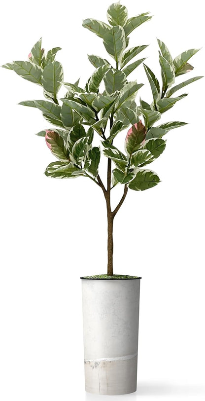 Artificial Tree in Gray Tan Watercolor Abstract Planter, Fake Rubber Silk Tree for Indoor and Outdoor Home Decoration - 70" Overall Tall (Plant Pot Plus Tree)