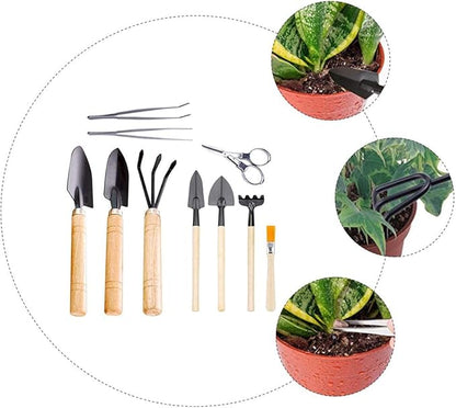 10pcs Succulent Planting Tool Set Mini Gardening Hand Tools for Potted Plants Bonsai Transplanting Kit Shovel and Rake for Indoor and Outdoor Use