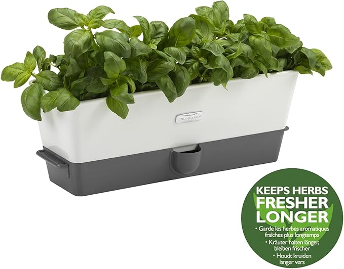 Cole & Mason Burwell Self-Watering Potted Herb Keeper Triple
