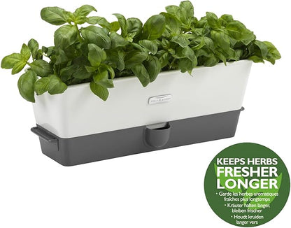 Cole & Mason Burwell Self-Watering Potted Herb Keeper Triple