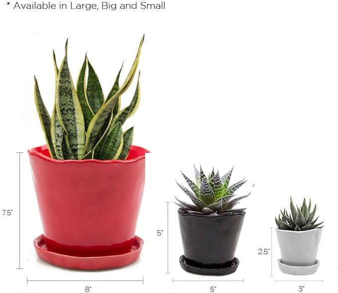 CHIVE ‘Tika’ Ceramic Planter Pot — Large 8" Succulent Pots for Indoor & Outdoor House Plants — Cute, Beautiful Modern Farmhouse Kitchen Decor — Black