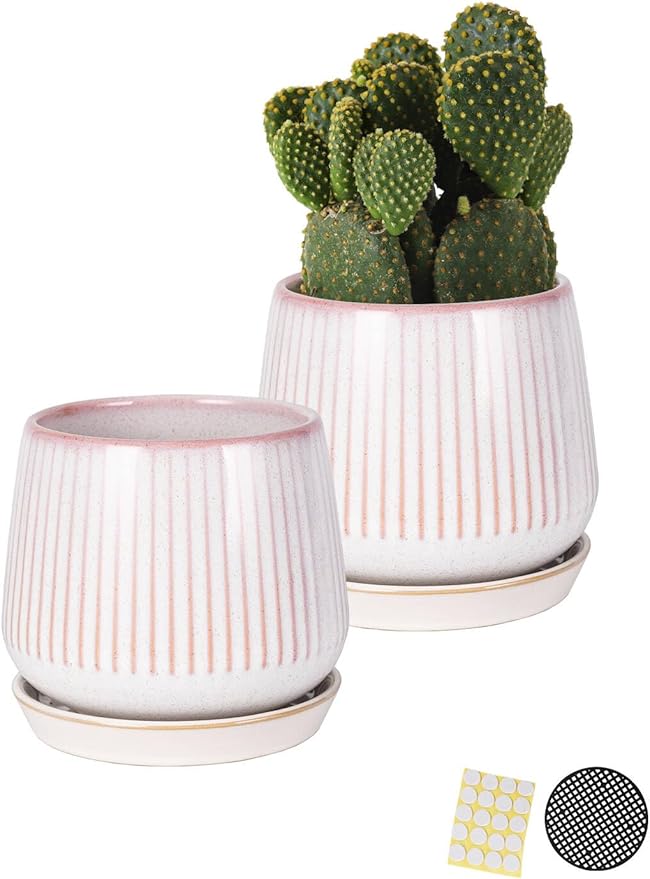 TAMAYKIM 5.5 Inch Ceramic Plant Pots with Drainage Holes and Saucers, Flower Planter with Tray for Indoor/Outdoor Planting, Succulent, Cactus & Herbs, Pink, Set of 2
