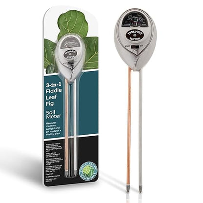 Fiddle Leaf Fig Essentials Bundle