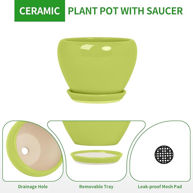 Deep Dream 6 Inch Plant Pots- Ceramic Planter Pot with Drainage Hole and Saucer, Round Flower Pot for Indoor Outdoor Succulent, Snake Plants and Cactus, Mint Green
