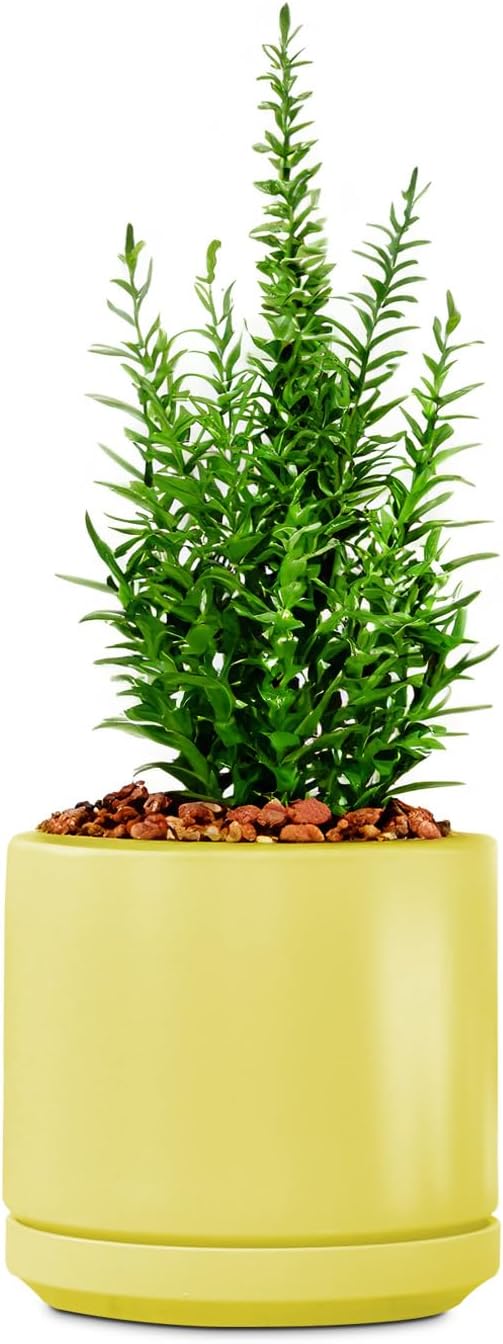 PLANTATOREM Ceramic 14 Inch Mid Modern Planter Pot with Drainage Hole and Saucer, Indoor Cylinder Round Flower Pot, Perfect for Planting Succulents, Herbs, Flowers, House Plants, Bumblebee