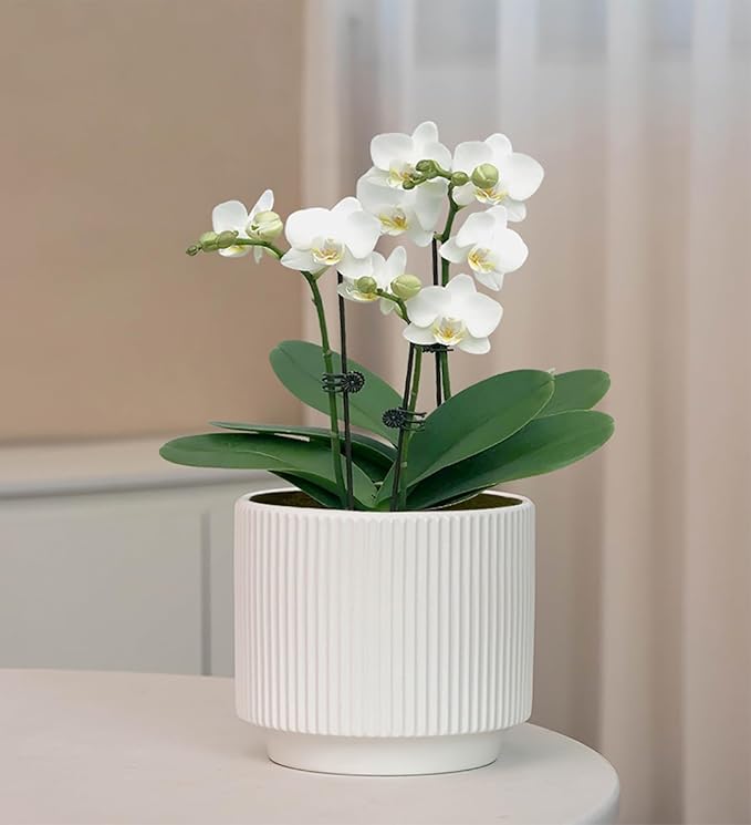 Ceramic 4.9+6.3 inch Planters, Modern Home and Office Flowerpot, Indoor and Outdoor Flowerpot with Drainage Hole (White)