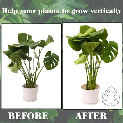 Spiritlele 5 Pcs Green Plant Stem Support Holder Set Monstera Plant Support Clamp Growth Accessories for Indoor Plants Big