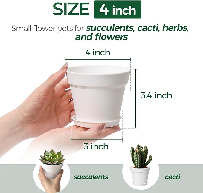 T4U 4 Inch Plant Pots 8-Pack, Small Flower Pots with Drainage Hole and Saucer, Decorative Nursery Pot Bulk for African Violet, Snake Plant, Succulent, Herb and Plants Indoor (8 Pcs 4" Pots, White)