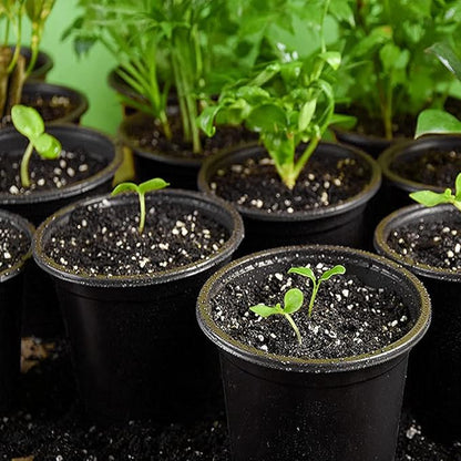 100-Pack 0.5 Gallon Flexible Plant Nursery Pots，Thickened Soft Plastic Seedling Pots,Seed Starting Pot Flower Plant Container for Succulents, Seedlings, Cuttings, Transplanting(Black)