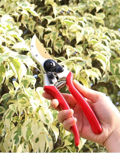 Pruning Shears Gardning Tool