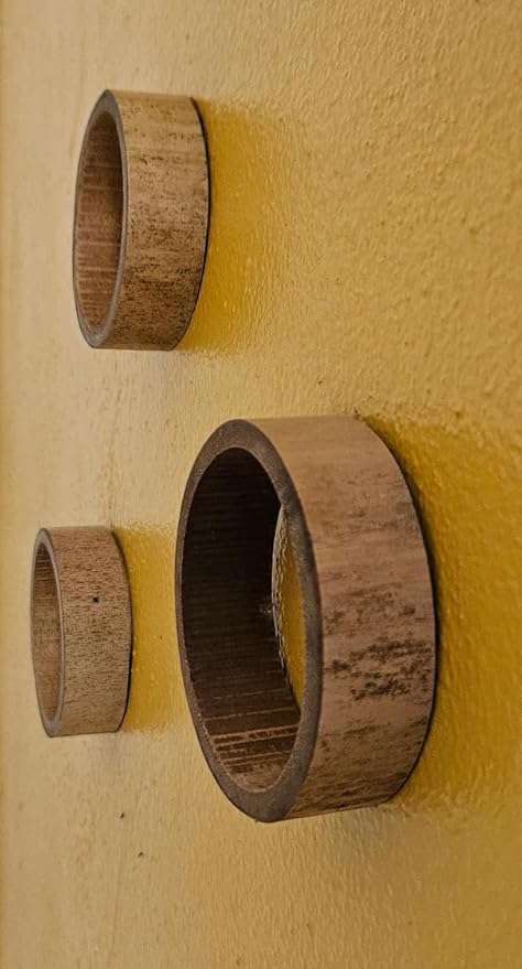 3 Piece Bamboo Air Plant Rings - Hang or Wall Mount. All Natural Unique Air Plant Holder - Small to Xtra Lrg Plants. (3pc Natural)