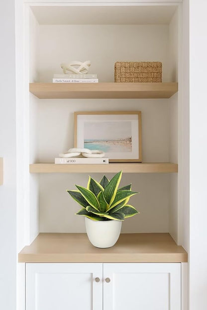 Hollyone Artificial Snake Plants 9" Faux Agave Succulent Plant Potted in White Pot Fake Sansevieria Aloe Tropical Plant for Desk Modern Office Home Bathroom Indoor Outdoor Decor