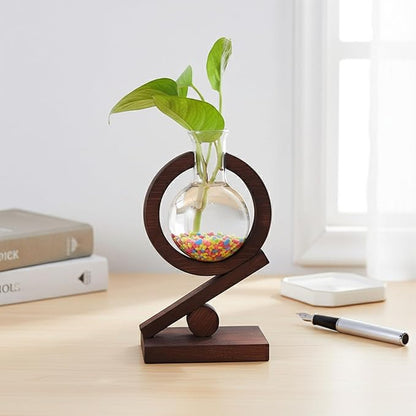 Plant Terrarium with Wooden Stand Glass Bulb Planter Propagation Station for Home Office Garden Plants Display Desk Decorative Ornament