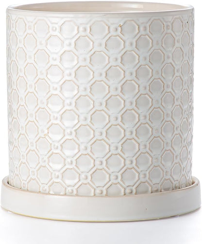 8 Inch Plant Pot: Ceramic Planter with Drainage Hole & Saucer Indoor Outdoor Plants - Cylinder Round Flower Pot for Home Office - Modern Decorative - Medium White