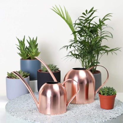 Stainless Steel Water Can for Indoor Plants and Garden (Rose Gold 30 oz)