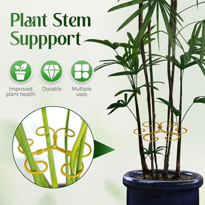 Monstera Plant Support Durable Stabilizer Grapple Holder,Plant Accessories Stable Plant Stem Support Stakes for Outdoor & Indoor Growing Climbing Plant Care Thriving Growth (6, Heart)